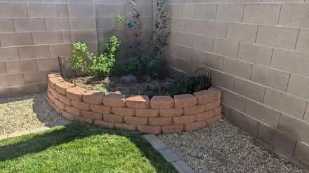 Photo of free 10'x21" Garden/Pet Fence (Pecos & Tropical Pkwy) #2