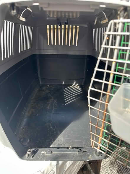 Photo of free Pet Carrier 2 (Molesey KT8) #2