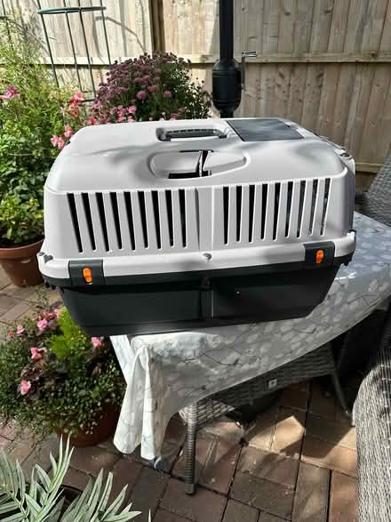 Photo of free Pet Carrier 2 (Molesey KT8) #1