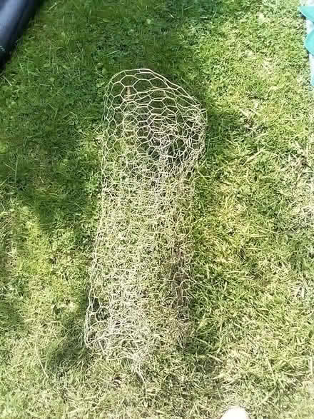 Photo of free Plastic covered 'chicken' wire (Bognor Regis PO21) #1