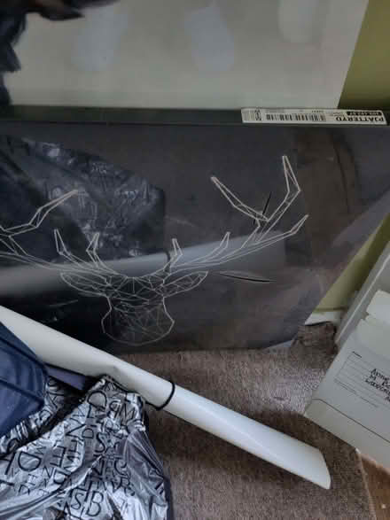 Photo of free Stag picture on canvas (Seaside BN22) #1