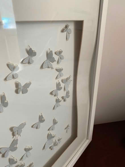 Photo of free 3D butterfly print in frame (Lower Walkley S6) #3