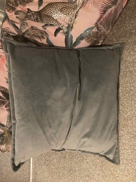 Photo of free Grey cushion (Rockliffe) #2