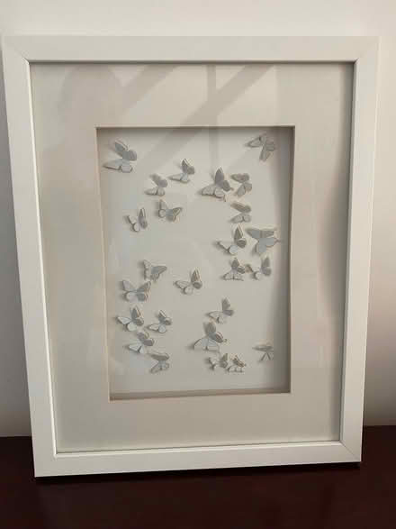 Photo of free 3D butterfly print in frame (Lower Walkley S6) #1