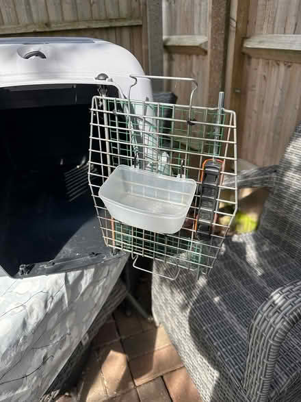 Photo of free Pet Carrier 2 (Molesey KT8) #3