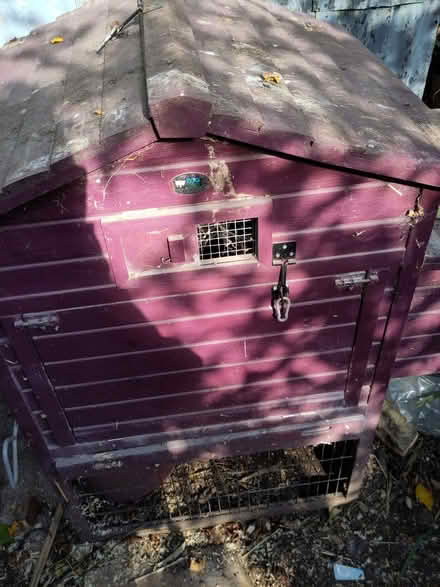 Photo of free Chicken coop, and small run (Seaside BN22) #2