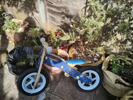 Photo of free Balance bike (Brockley SE4) #1