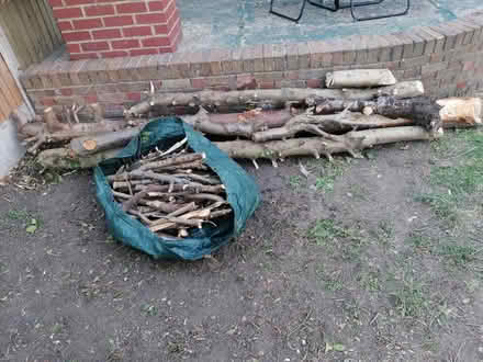 Photo of free Wood from Trees (Chadwell Heath RM6) #1