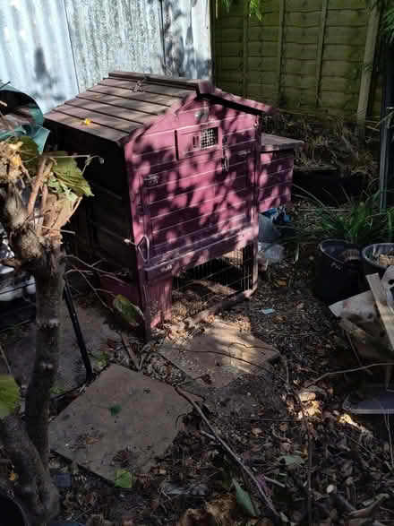 Photo of free Chicken coop, and small run (Seaside BN22) #1