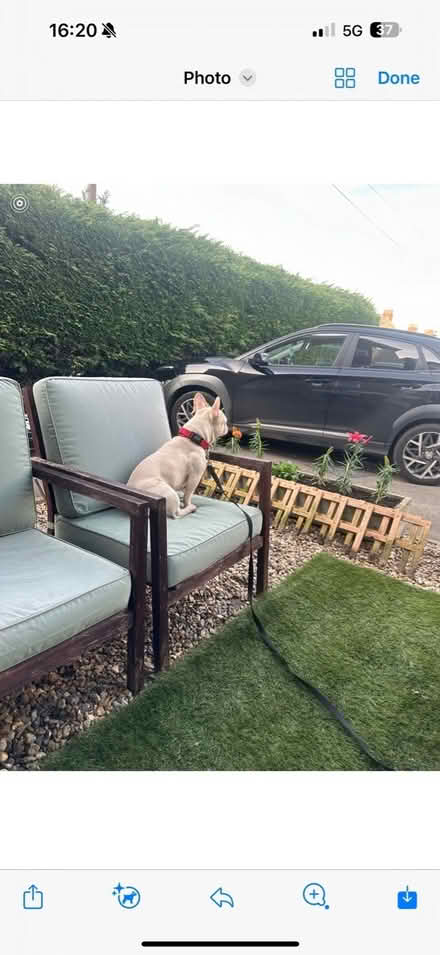 Photo of free Table and chairs (Godstone) #3