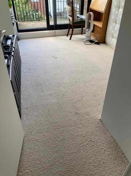 Photo of free Wool Carpet 2.63 x 3.95 (Hornsey N8) #1