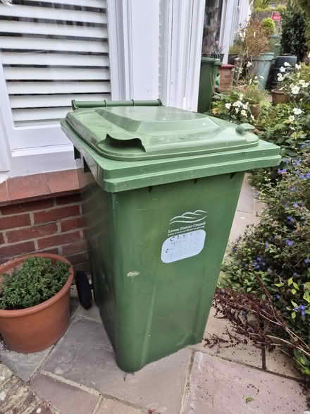 Photo of free 240l green rubbish bin (Lewes BN7) #1