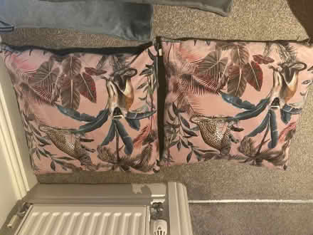 Photo of free Matching pillows (Rockliffe) #1