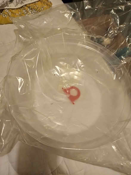 Photo of free Betterware travel cake box unused (Warwick CV34) #3