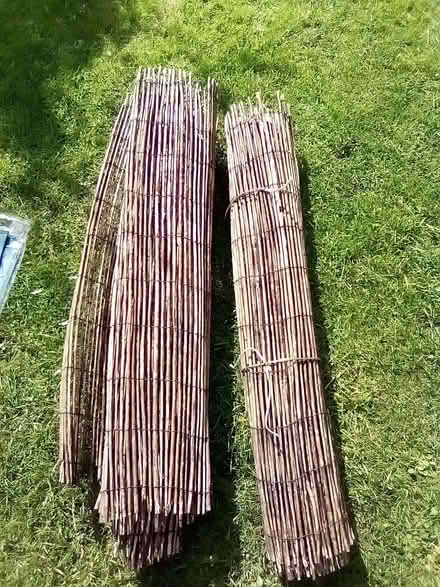 Photo of free Two rolls of bamboo screening/fencing. (Bognor Regis PO21) #1