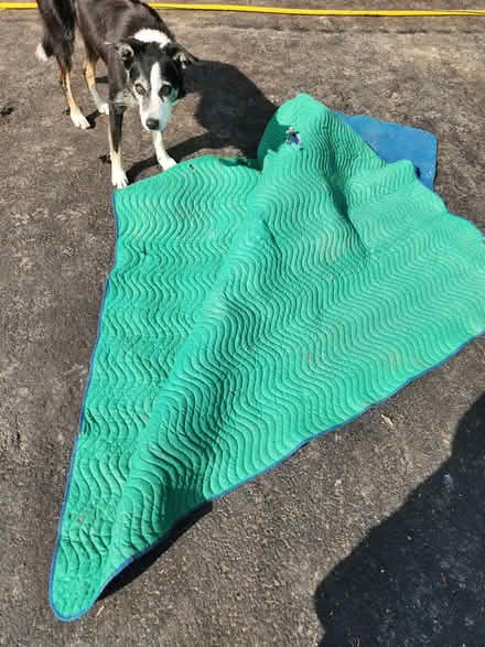 Photo of free packing blanket, with some holes (virgil) #1