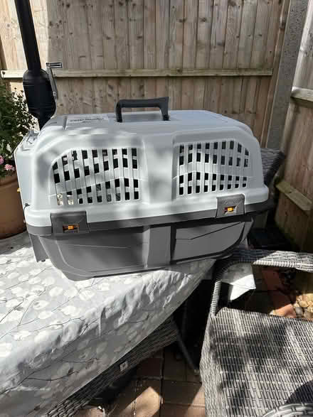 Photo of free Pet Carrier (Molesey KT8) #1