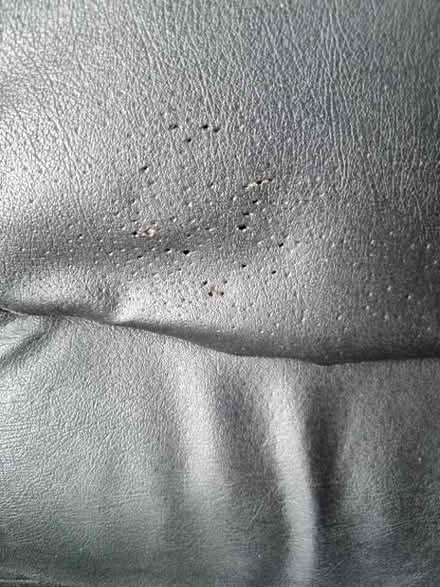 Photo of free Black Office Chair (Crystal Peaks S20) #2