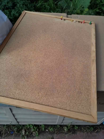 Photo of free Cork pinboard (Seaside BN22) #1