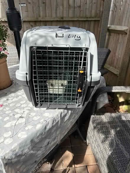 Photo of free Pet Carrier (Molesey KT8) #4