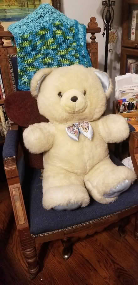 Photo of free Teddy Bear (Ashland and River Street) #1