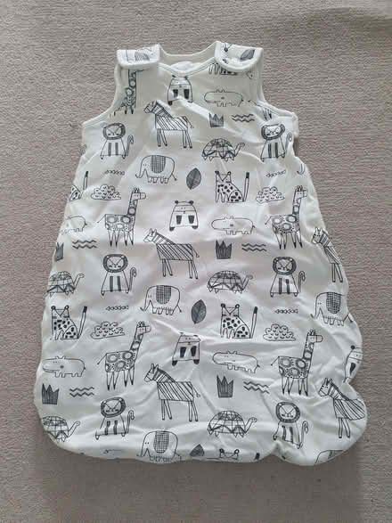Photo of free Next sleeping bag 0-6 months (Burgess Park SE5) #1
