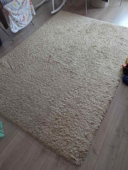 Photo of free Carpet (KT7) #1