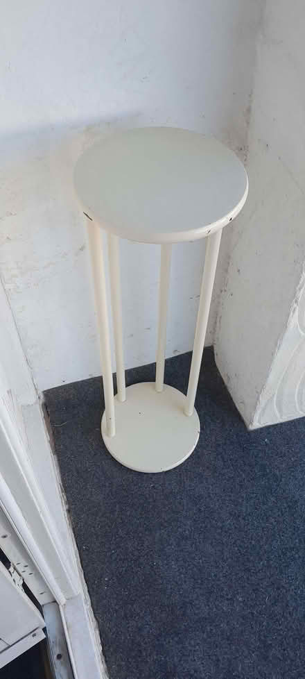 Photo of free Stand plants (The Camp AL1) #1