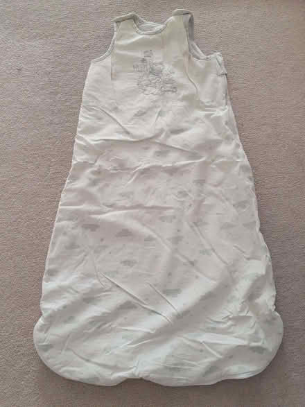 Photo of free Winnie the Pooh sleeping bag 6-18 months (Burgess Park SE5) #1
