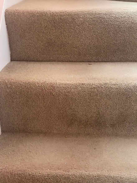 Photo of free Wool beige stair carpet (Bailiff Bridge BD12) #2