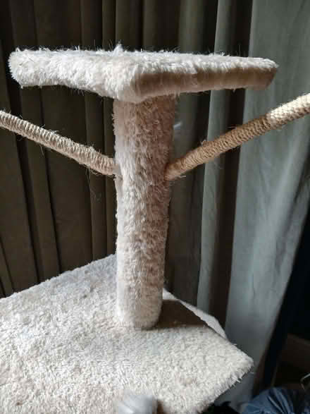 Photo of free Cat tree (Walkley S6) #3