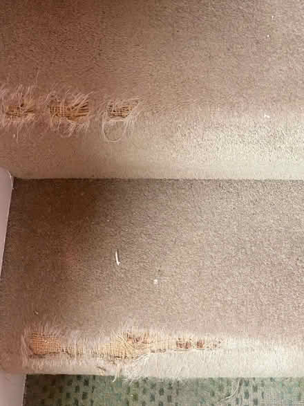 Photo of free Wool beige stair carpet (Bailiff Bridge BD12) #1