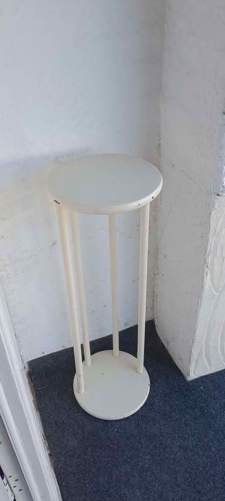 Photo of free Stand plants (The Camp AL1) #2