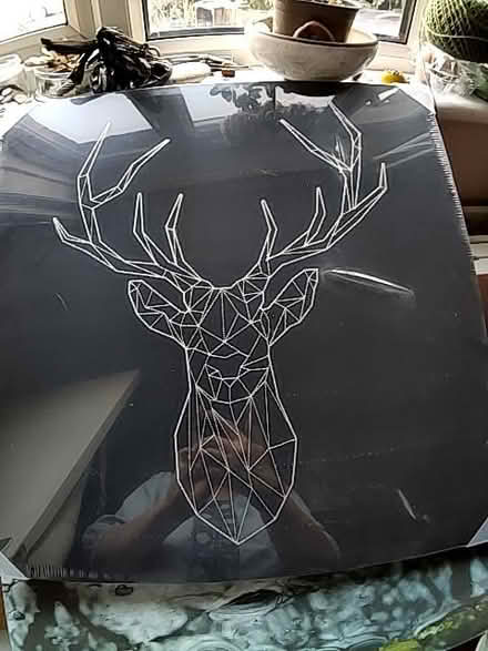 Photo of free Stag picture on canvas (Seaside BN22) #2