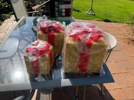Photo of free Christmas decoration (Waterlooville PO7) #1