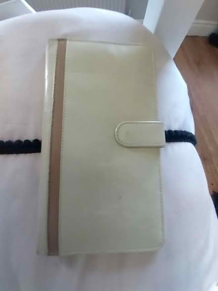 Photo of free Travel wallet (BT15) #1