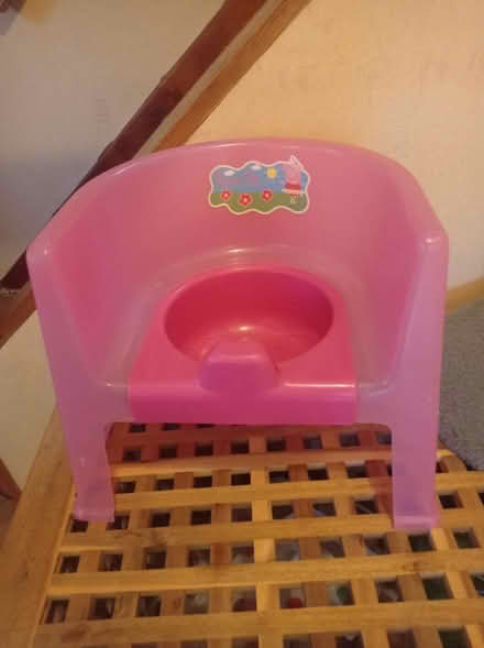 Photo of free Peppa Pig Potty (BS7) #1