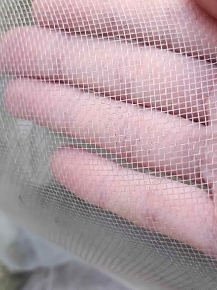 Photo of free A bin bag of mesh netting for gardening. (Headington OX3) #2