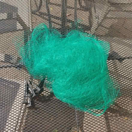 Photo of free Garden Netting for Plants, 4x5m (Finchampstead, RG40) #1