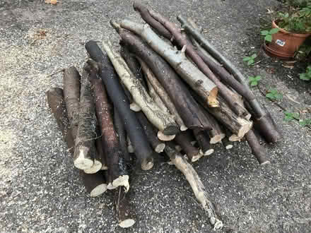 Photo of free Bonfire wood (Moseley B13) #1