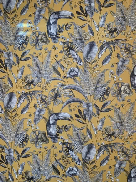 Photo of free 0ne roll of wallpaper (Cv22) #4
