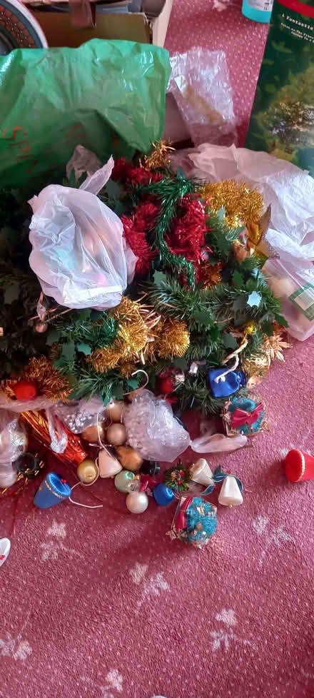 Photo of free Christmas decorations (Edmonton N13) #3