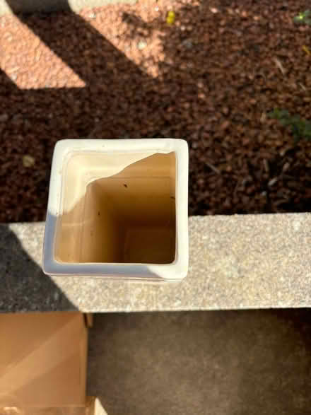 Photo of free Cream coloured square tall vase (Currie EH14) #1