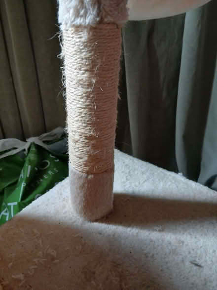 Photo of free Cat tree (Walkley S6) #1