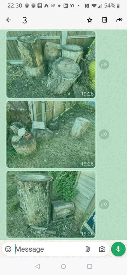 Photo of free Tree Trunks/Logs (Harrow) #1