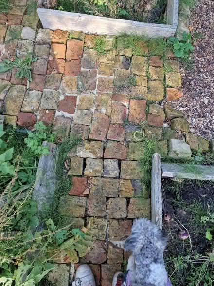 Photo of free bricks (N17 the roundway) #3