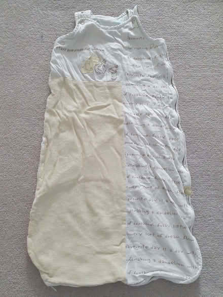 Photo of free Winnie the Pooh sleeping bag 0-6 months (Burgess Park SE5) #1