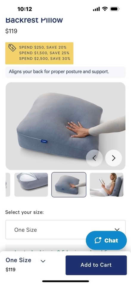 Photo of free Casper large pillow (Flatiron) #2
