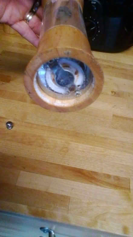 Photo of free Broken Salt/Pepper Grinder (Saint Thomas Ward EX2) #2