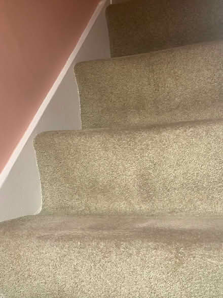 Photo of free Wool beige stair carpet (Bailiff Bridge BD12) #4